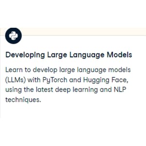 Developing Large Language Models 2025-3