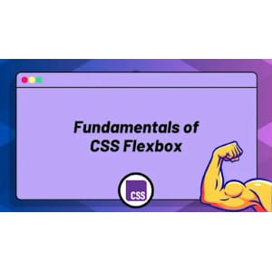 ZerotoMastery — Fundamentals of CSS Flexbox 2025-9