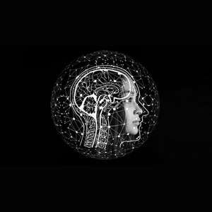 Udemy — The Complete Personal Development Course – 22 Courses in 1 2024-12