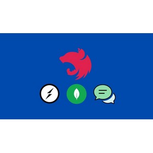 Udemy — NestJS: Build a Real-Time Social Media API (/w WebSockets) 2025-6
