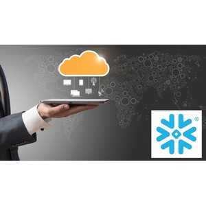 Udemy — Unlock Snowflake SnowPro Advanced Architect Strategies 2024-9