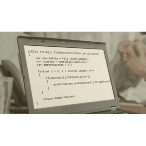 Functional Programming: The Big Picture 2024-3
