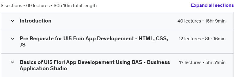 Course topics · Udemy — SAP ODATA Services & UI5 Fiori App Developement using BAS 2024-7