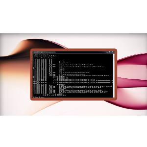 Udemy — MS-DOS Complete Course: from Zero to Professional! 2023-4