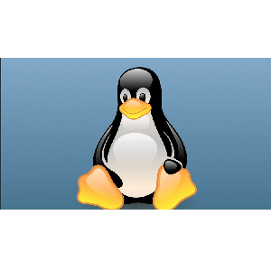 Udemy — Learn Linux User Space Debugging 2020-5