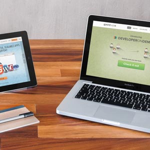 Udemy — Running a Web Development Business: The Complete Guide 2025-8