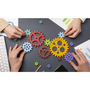 Udemy — Build your Project Management Office (PMO) Step by Step 2023-11