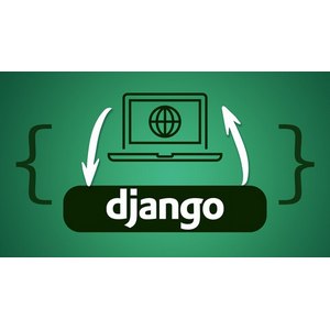 Python Django – The Practical Guide 2024-11
