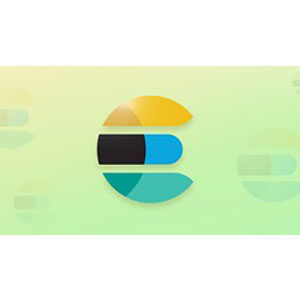Udemy — Complete Guide to Elasticsearch 2024-12
