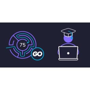 Educative — Grokking Blind 75 in Go: Mastery through Coding Patterns 2024-9