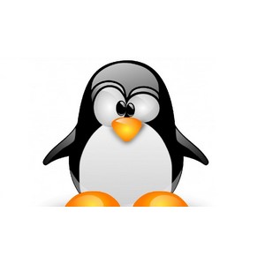 Linux Server Administration Simplified: Practical Training 2025-1