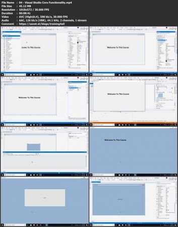 Pictures · WorldCat — Developer Series: Professional Form Development using DevExpress with C# and Visual Studio 2022-5