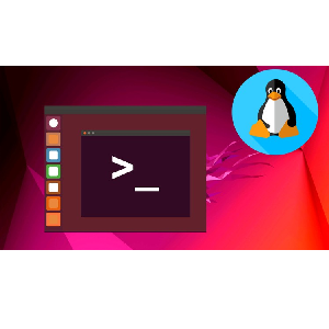 Linux Tutorial – Master The Command Line 2023-1