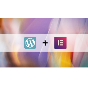 Avanzado WordPress & Elementor Construir un sitio web de adhesión 2025-12
