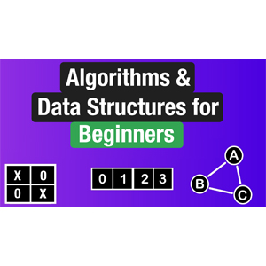 NeetCode – Algorithms & Data Structures for Beginners 2025-2