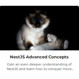 Learn NestJS — NestJS Advanced Concepts 2023-6