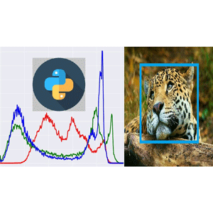 Udemy — Python for Signal and Image Processing Master Class 2023-5