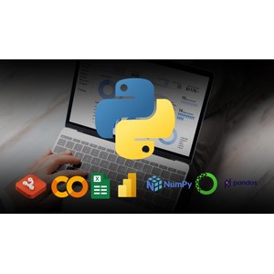 Udemy — Python for Data Science: From Basics to Advanced in 2025 2025-2