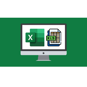 Udemy — Microsoft Excel 365 Essentials 2024-5
