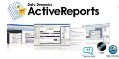 DataDynamics ActiveReports ActiveX 2.5.0.1322