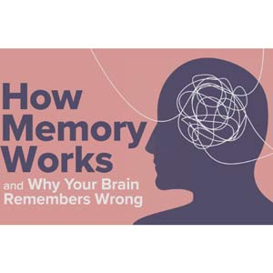 The Great Courses — How Memory Works and Why Your Brain Remembers Wrong 2024-1