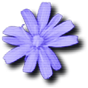 Cloanto C64 für immer 11.2.2 Mehr Edition