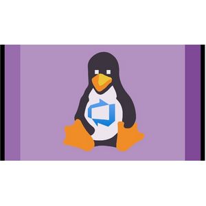 Udemy — Developing Smarter with WSL and Linux 2024-11