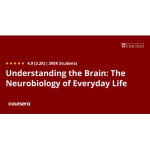 Understanding the Brain: The Neurobiology of Everyday Life 2025-9