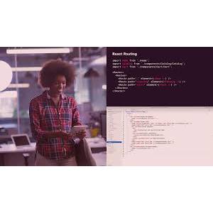 Pluralsight — Using the App Router in Next.js 14 2024-11