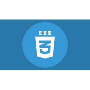 CSS Fundamentals: Comprehensive Training for Web Developers 2023-10
