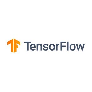 TensorFlow: Basic to Advanced Training 2024-11