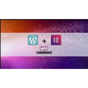 WordPress ई-कॉमर्स और ड्रॉपशिपिंग की सफलता 2025-12