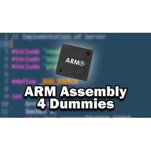 Low Level Academy — Fundamentals of ARM Assembly 2024-12