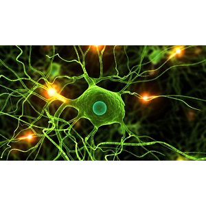 Data Science: Deep Learning and Neural Networks in Python 2025-11