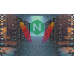 Apache Web Server NGINX Web Server Infrastructure Deployment 2023-12