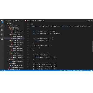 Ultimate Courses — Angular Pro 2021-6