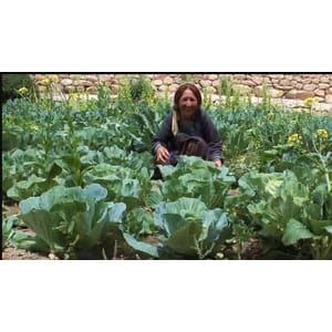 Bio-Organic Farming & Gardening: GROW Your Own FOOD 2023-10