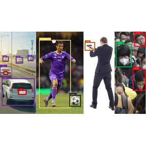 Udemy — YOLOv8: Video Object Detection with Python on Custom Dataset 2024-3