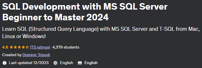 Pictures · Udemy — SQL Development with MS SQL Server Beginner to Master 2024 2023-8
