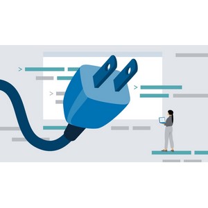 LinkedIn — Custom WordPress Plugins: Design, Develop, and Distribute 2025-1