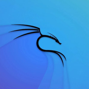 Udemy — Kali Linux Certification Course: Hacking with Kali Linux 2024-9