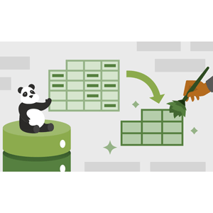 Limpieza de datos con pandas 2026-8