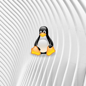 Linux for Data Engineers (Hands On) 2026-5