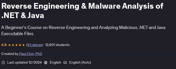 Pictures · Udemy — Reverse Engineering & Malware Analysis of .NET & Java 2024-12