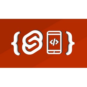 The complete SVELTE V5 course. Inc SvelteKit SSR & Firebase 2025-7