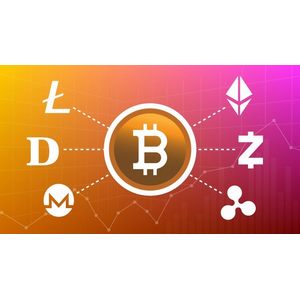 Udemy — Bitcoin & Crypto Trading: Master Financial Analysis 2024-11