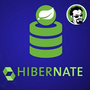 Hibernate and Spring Data JPA: Beginner to Guru 2024-11