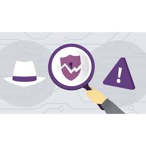 Ethical Hacking: Vulnerability Analysis 2019-9