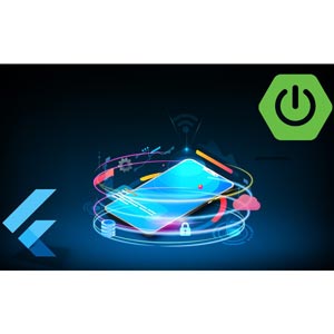 Flutter with Spring Boot Crash Course 2024-11