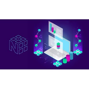 Udemy — The Ultimate Beginners Guide to Python NumPy 2024-11